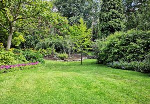 Optimiser l'expérience du jardin à Foucaucourt-en-Santerre